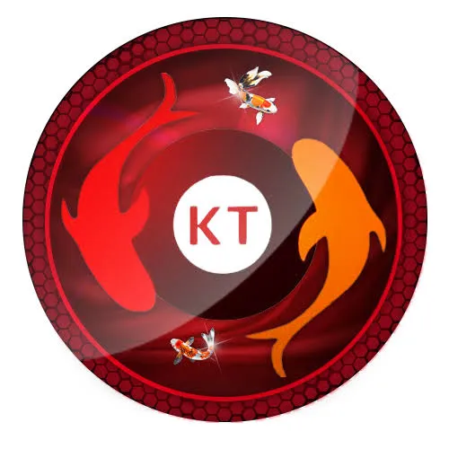 koitoto APK Simulation